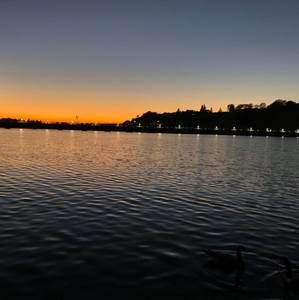 Meet your Posher, Nosaj